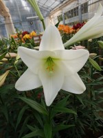 [5146 Bright Tower 18 ST No01.JPG]